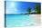 Anse Lazio Beach at Praslin Island, Seychelles-Iakov Kalinin-Stretched Canvas