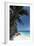 Anse Macquereau, Fregate Island, Seychelles, Indian Ocean, Africa-Sergio Pitamitz-Framed Photographic Print