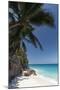 Anse Macquereau, Fregate Island, Seychelles, Indian Ocean, Africa-Sergio Pitamitz-Mounted Photographic Print