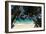 Anse Maquereau, Fregate Island, Seychelles-Sergio Pitamitz-Framed Photographic Print