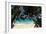 Anse Maquereau, Fregate Island, Seychelles-Sergio Pitamitz-Framed Photographic Print