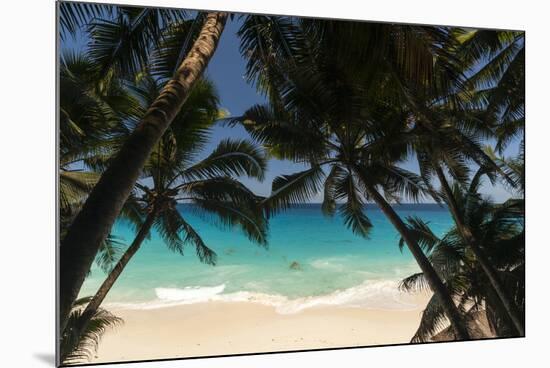 Anse Maquereau, Fregate Island, Seychelles-Sergio Pitamitz-Mounted Photographic Print