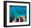 Anse Palates Seychelles-null-Framed Art Print