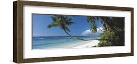 Anse Severe, Seychelles-David Noton-Framed Giclee Print