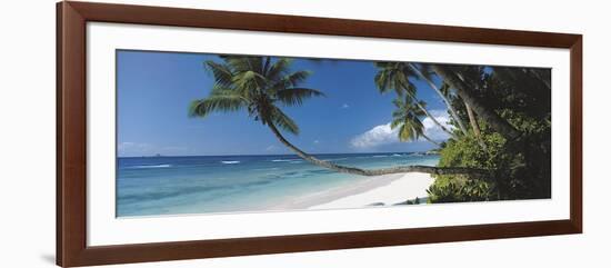 Anse Severe, Seychelles-David Noton-Framed Giclee Print