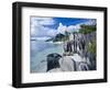 Anse Source D'Argent Beach, L'Union Estate Plantation, La Digue Island, Seychelles-Walter Bibikow-Framed Photographic Print