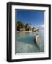 Anse Source d'Argent Beach, La Digue Island, Seychelles-Michele Falzone-Framed Photographic Print