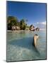 Anse Source d'Argent Beach, La Digue Island, Seychelles-Michele Falzone-Mounted Photographic Print