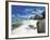 Anse Source D'Argent, La Digue, Seychelles-Lee Frost-Framed Photographic Print