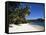 Anse Takamaka, Island of Mahe, Seychelles, Indian Ocean, Africa-Robert Harding-Framed Stretched Canvas