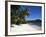 Anse Takamaka, Island of Mahe, Seychelles, Indian Ocean, Africa-Robert Harding-Framed Photographic Print