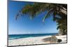 Anse Victorin, Fregate Island, Seychelles, Indian Ocean, Africa-Sergio Pitamitz-Mounted Photographic Print