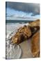 Anse Victorin, Fregate Island, Seychelles-Sergio Pitamitz-Stretched Canvas