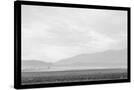 Stretched Canvas
