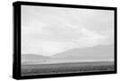 Stretched Canvas