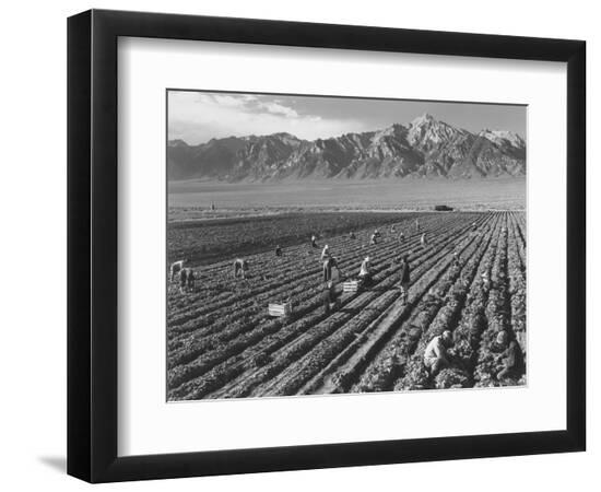 Premium Photographic Print, , large