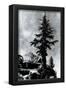 Ansel Adams The Mural Project Unkown Peak Art Print Poster-null-Framed Poster