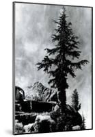 Ansel Adams The Mural Project Unkown Peak Art Print Poster-null-Mounted Poster