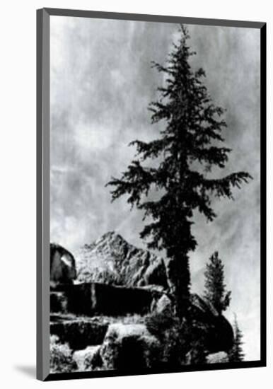 Ansel Adams The Mural Project Unkown Peak Art Print Poster-null-Mounted Poster