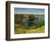 Anstey's Cove, Devon, 1854-John William Inchbold-Framed Giclee Print