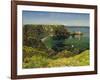 Anstey's Cove, Devon, 1854-John William Inchbold-Framed Giclee Print