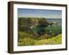 Anstey's Cove, Devon, 1854-John William Inchbold-Framed Giclee Print