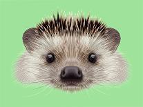 Illustrated Portrait of Hedgehog. Cute Head of Wild Spiny Mammal on Green Background.-ant_art-Framed Stretched Canvas