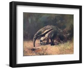 Ant-Eater, Cuthbert Swan-Cuthbert Swan-Framed Art Print