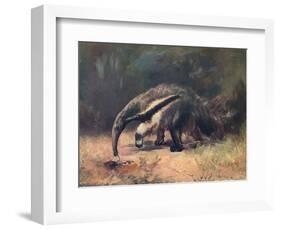 Ant-Eater, Cuthbert Swan-Cuthbert Swan-Framed Art Print