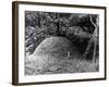 Ant Hill-null-Framed Photographic Print