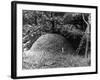 Ant Hill-null-Framed Photographic Print