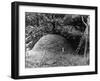 Ant Hill-null-Framed Photographic Print