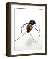 Ant (Metal, Spanners, Tools and Found Objects)-Lawrie Simonson-Framed Photographic Print