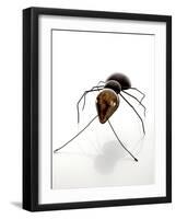 Ant (Metal, Spanners, Tools and Found Objects)-Lawrie Simonson-Framed Photographic Print