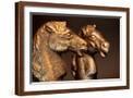 Brown Frame