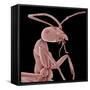 Ant-Micro Discovery-Framed Stretched Canvas