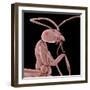 Ant-Micro Discovery-Framed Photographic Print