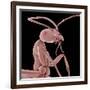 Ant-Micro Discovery-Framed Photographic Print