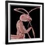 Ant-Micro Discovery-Framed Photographic Print