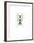 Ant-Alexis Marcou-Framed Art Print