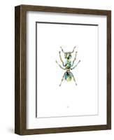 Ant-Alexis Marcou-Framed Art Print