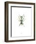 Ant-Alexis Marcou-Framed Art Print