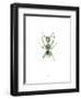 Ant-Alexis Marcou-Framed Art Print