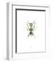 Ant-Alexis Marcou-Framed Art Print