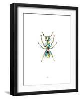 Ant-Alexis Marcou-Framed Art Print