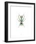 Ant-Alexis Marcou-Framed Art Print