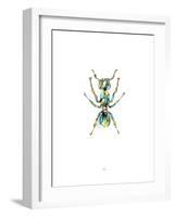 Ant-Alexis Marcou-Framed Art Print