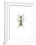 Ant-Alexis Marcou-Framed Art Print