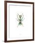 Ant-Alexis Marcou-Framed Art Print