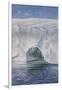 Antarctic, Cape Crozier-Edward A Wilson-Framed Art Print